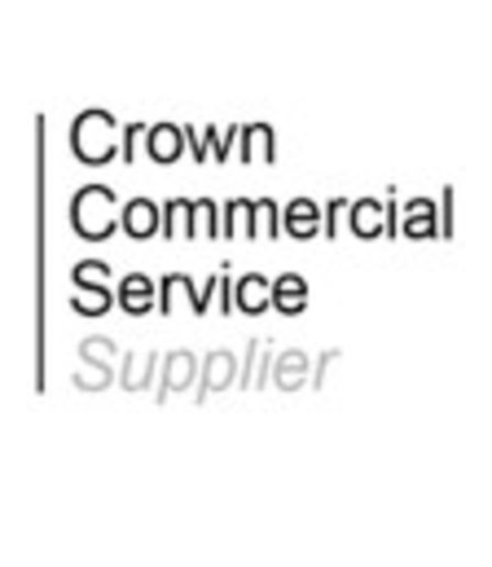 Crown Commercial Service supplier